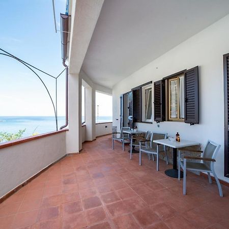 Hotel La Stella Seccheto Extérieur photo