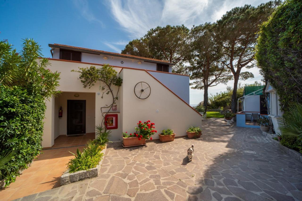Hotel La Stella Seccheto Extérieur photo